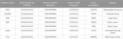 Nucleotide-level prediction of CircRNA-protein binding based on fully convolutional neural network